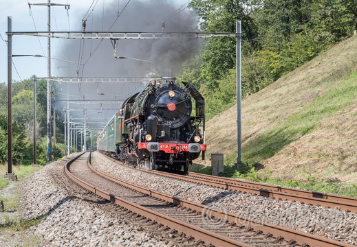 Mikado 1244(141 R)