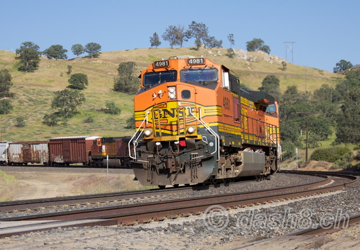 BNSF 4981(C44-9W)