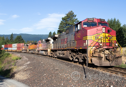 BNSF 742(C44-9W), BNSF 946(C41-8W), BNSF 4150(C44-9W), BNSF 639(