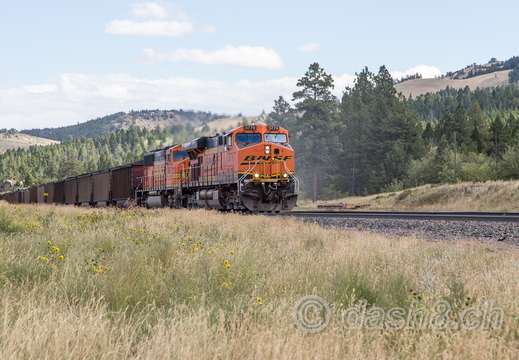 BNSF 5779(ES44AC), BNSF 9988(SD70MAC)