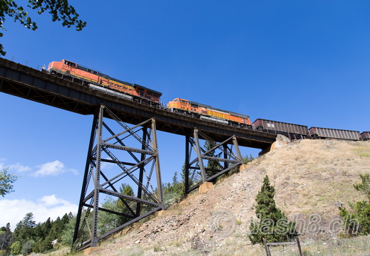 BNSF 5779(ES44AC), BNSF 9988(SD70MAC)