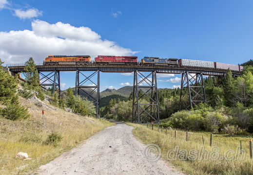BNSF 8085(ES44C4), CP 8907(ES44AC), CSX 7741(C40-8W)