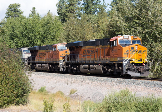 BNSF 6590(ES44C4), BNSF 6346(ES44AC), BNSF 9525(SD70MAC)