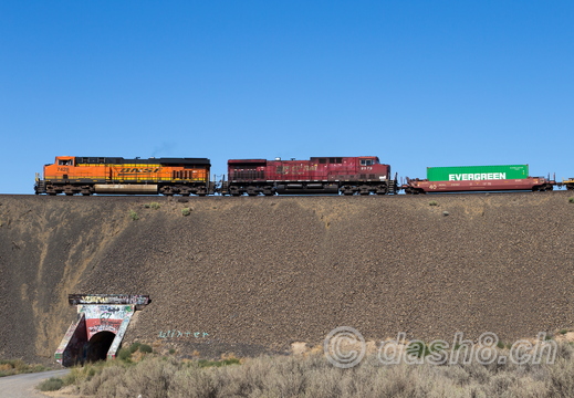 BNSF 7428(ES44DC), CP 9579(AC44CW)