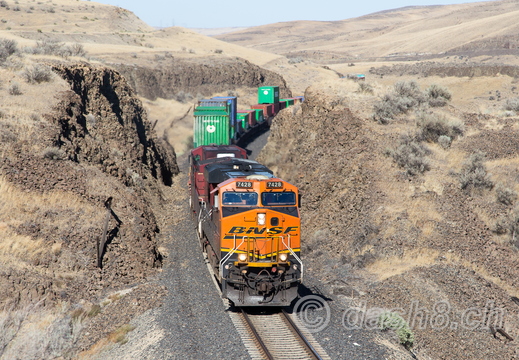 BNSF 7428(ES44DC), CP 9579(AC44CW)